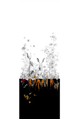Satisfait Ou Remboursé Papier peint panoramique Lièvres Gauche