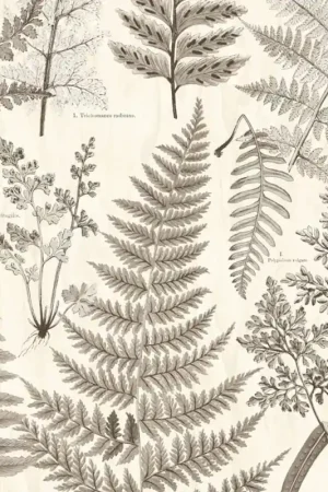 Produit De Marque Papier peint panoramique Botanical - Geonature