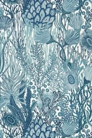 Papier peint Acropora Meilleur Choix