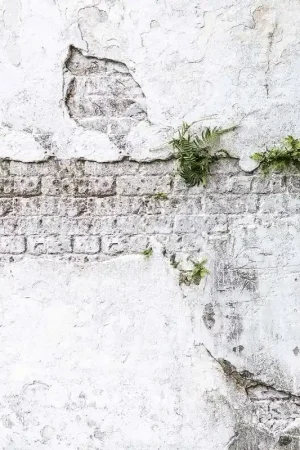 Offre Exclusive Papier peint panoramique Plants & Brick Wall