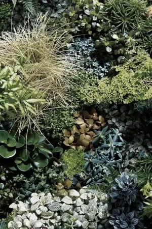 Prix Cassé Papier peint Arche Végétal Mix