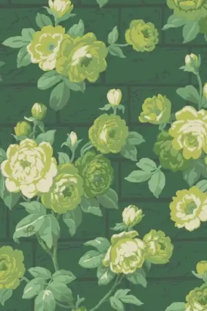 Prix Choc Papier peint Rose Garden