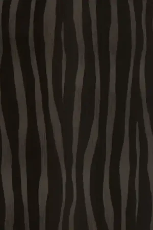 Quantité Limitée Papier peint Zebra - Skin