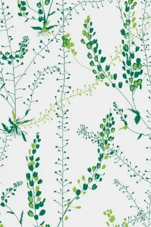 Papier Peint Bladranker Top Vente