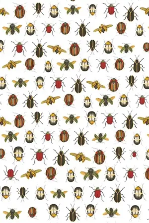 Must-Have Papier peint Coleopter