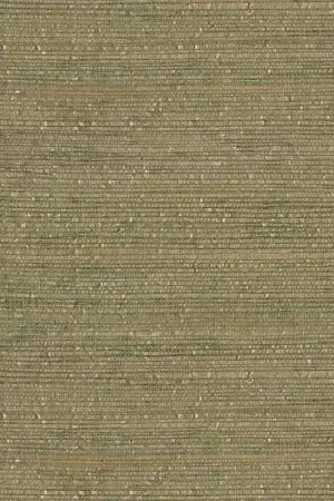 Revêtement mural Oak Stripe - Natural Wallcoverings III Dernière Chance
