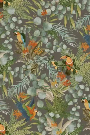 Bon Plan Papier peint Parrots