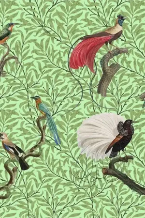 Nouvel Arrivage Papier peint panoramique Exotic Feathers