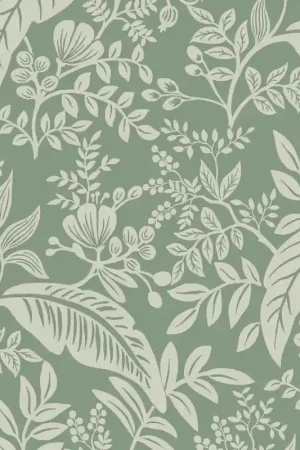 Bon Plan Papier peint Canopy