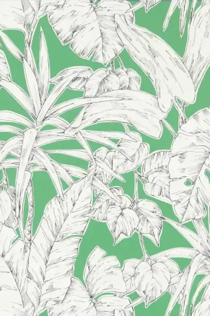 Super Prix Papier peint Parlour Palm