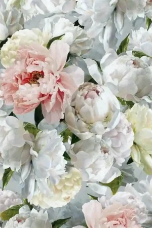 Papier peint panoramique Peonia Grande Meilleur Prix