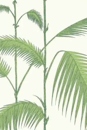 Papier peint Palm Solde