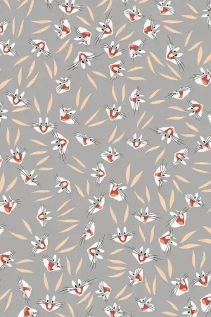 Papier peint panoramique Looney Tunes 211-3 Vente Directe