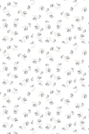 Papier peint Tom & Jerry 114 Acheter Direct