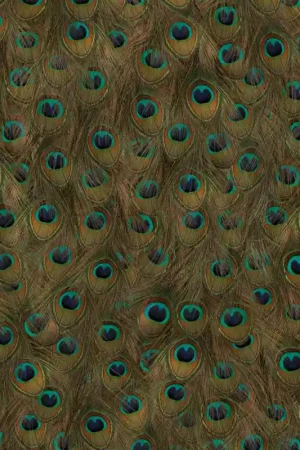 Papier peint Peafowl Pas Cher