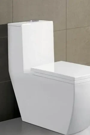 Seulement Aujourd'hui WC à Poser Monobloc - Céramique Blanc - 35x68 cm - Millenium