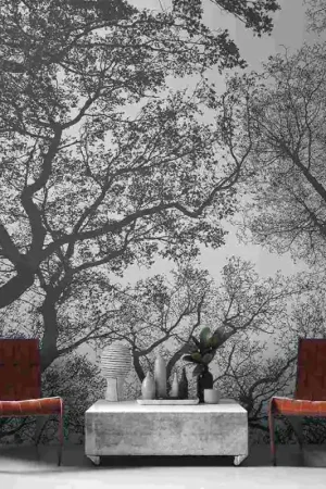 Meilleur Choix Papier peint panoramique en vinyle sur intissé forêt noir et blanc L 371 x H 280 cm AS CREATION