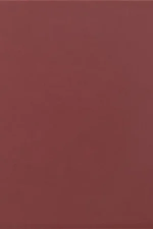 Vente Directe Boîte Rainbow Bordeaux en Porcelaine 15x15 0,5m2 / boîte 22 pièces / boîte